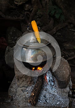 Grilled corn on the hot stove