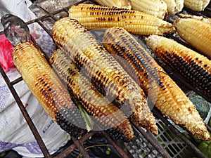 Grilled Corn at Market in Mexico