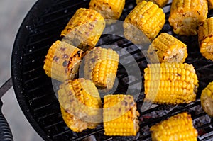 Grilled Corncob en brochette in a close up shot