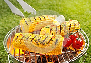 Corncob en brochette