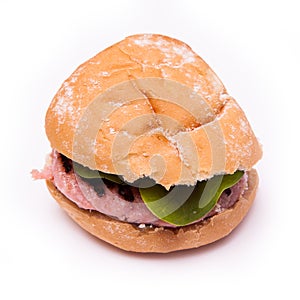 Grilled crocodile meat burgers isolated on a white studio background.