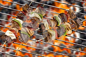 Grilled delicious kebabs