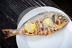 Grilled dorada fish with lemon pieces on white plate
