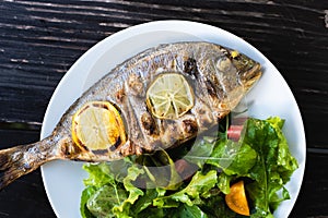 Grilled dorada fish with lemon pieces on white plate