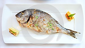 Grilled dorada fish photo