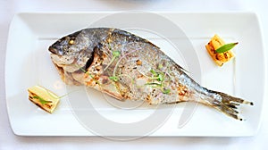 Grilled dorada fish