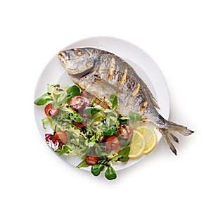 Grilled dorada fish on white plate