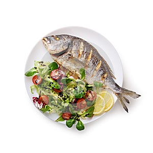 Grilled dorada fish on white plate photo
