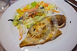 Grilled dorada with salad photo