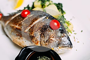 Grilled Dorade Fish on the plate