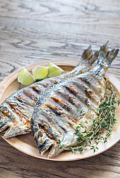 Grilled Dorade Royale Fish