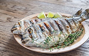 Grilled Dorade Royale Fish