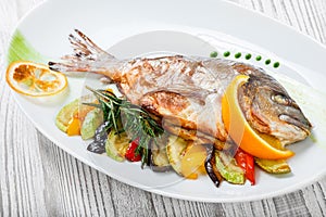 Grilled dorado fish with baked vegetables and rosemary on plate on wooden background close up.