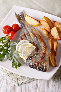 Grilled dorado fish with fried potatoes and tomato close-up