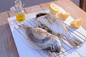 Grilled dorado fish on a grill grate with lemon and olive oil bottle