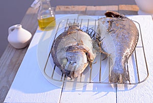 Grilled dorado fish on a grill grate