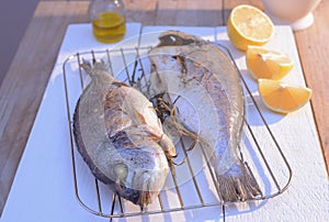 Grilled dorado fish on a grill grate with lemon and olive oil bottle on white