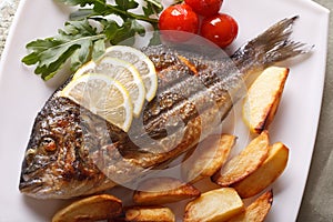 Grilled dorado fish with potatoes closeup. horizontal top view