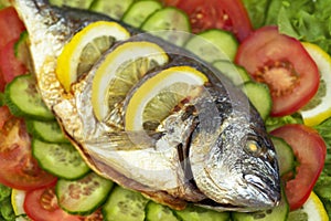 Grilled dorado fish with vegetables: salad, tomatoes, cucumber, green pepper and lemon