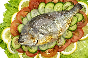 Grilled dorado fish with vegetables: salad, tomatoes, cucumber, green pepper and lemon on white background