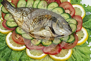 Grilled dorado fish with vegetables: salad, tomatoes, cucumber, green pepper and lemon on white background