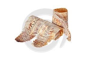 Grilled dried squid