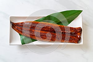 grilled eel or grilled unagi with sauce