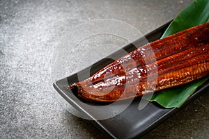 Grilled eel or grilled unagi with sauce