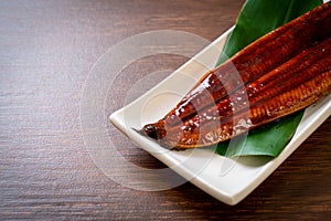 Grilled eel or grilled unagi with sauce