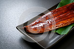 Grilled eel or grilled unagi with sauce