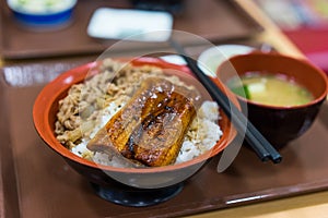 Grilled Eel over Rice