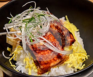 Grilled eel with rice