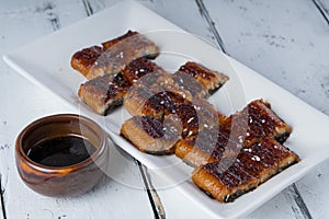 Grilled eel or unagi with sweet soy sauce