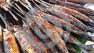 Grilled fish