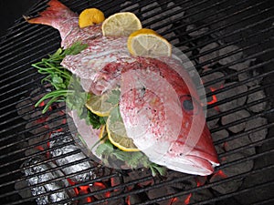 Grilled Fish