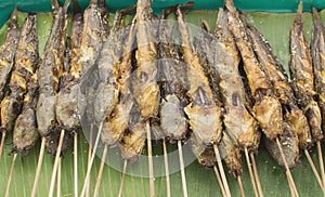 Grilled fish