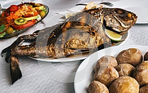 Grilled fish and canarian potatoes in Canary islands