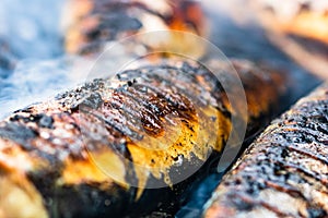 Grilled fish on charcoal grill. Fresh fish barbecue