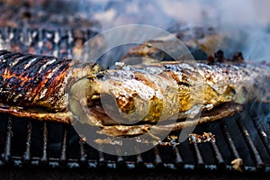 Grilled fish on charcoal grill. Fresh fish barbecue