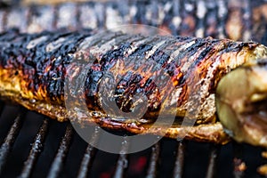 Grilled fish on charcoal grill. Fresh fish barbecue