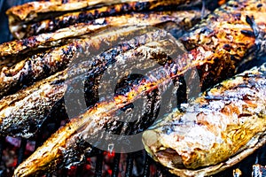 Grilled fish on charcoal grill. Fresh fish barbecue