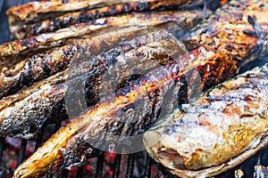 Grilled fish on charcoal grill. Fresh fish barbecue