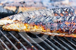 Grilled fish on charcoal grill. Fresh fish barbecue