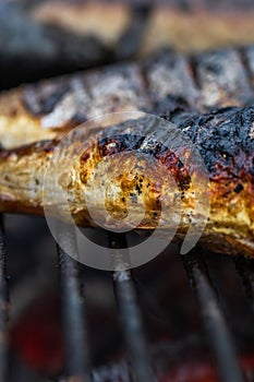 Grilled fish on charcoal grill. Fresh fish barbecue