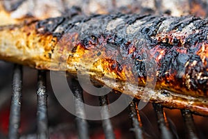 Grilled fish on charcoal grill. Fresh fish barbecue