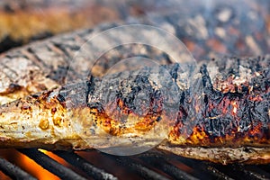 Grilled fish on charcoal grill. Fresh fish barbecue