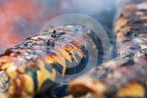 Grilled fish on charcoal grill. Fresh fish barbecue