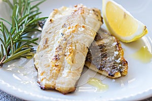 Grilled Fish Fillet