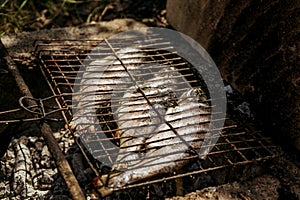 Grilled fish on a fire on a barbecue at a picnic, grilled food on a grill 1