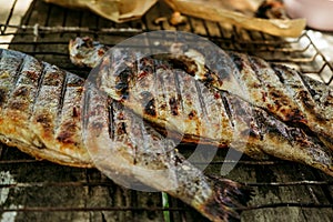 Grilled fish on a fire on a barbecue at a picnic, grilled food on a grill 3